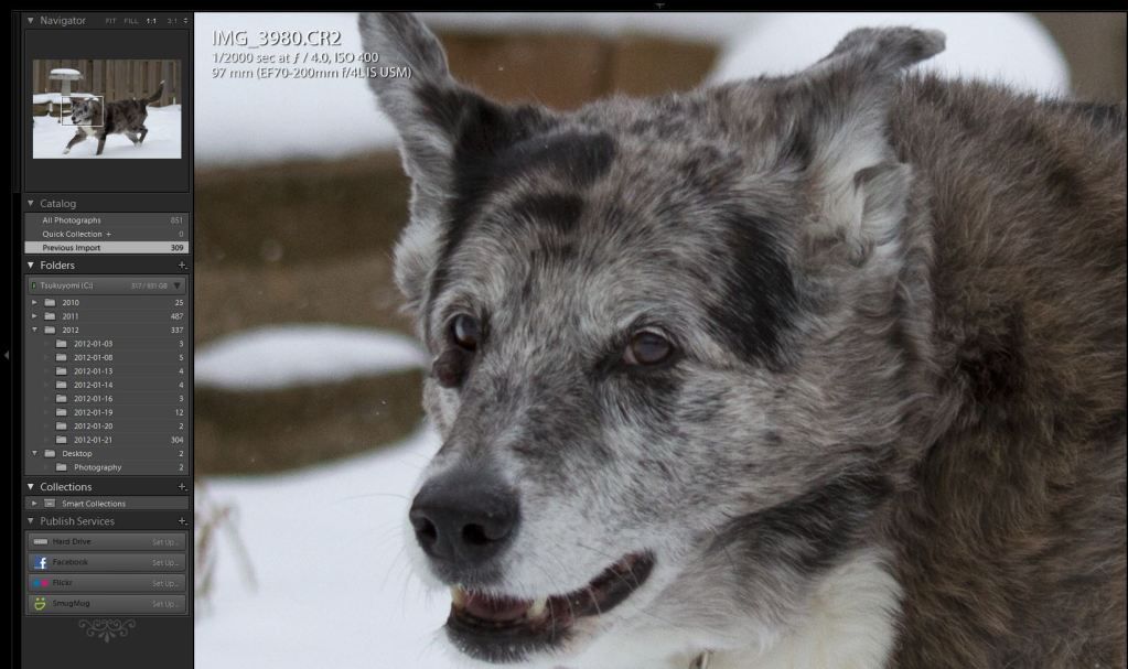 IMAGE: http://img.photobucket.com/albums/v170/scifiguy1012/Photography/7ddidalright5.jpg