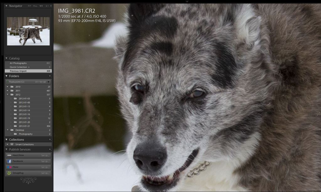 IMAGE: http://img.photobucket.com/albums/v170/scifiguy1012/Photography/7ddidalright6.jpg