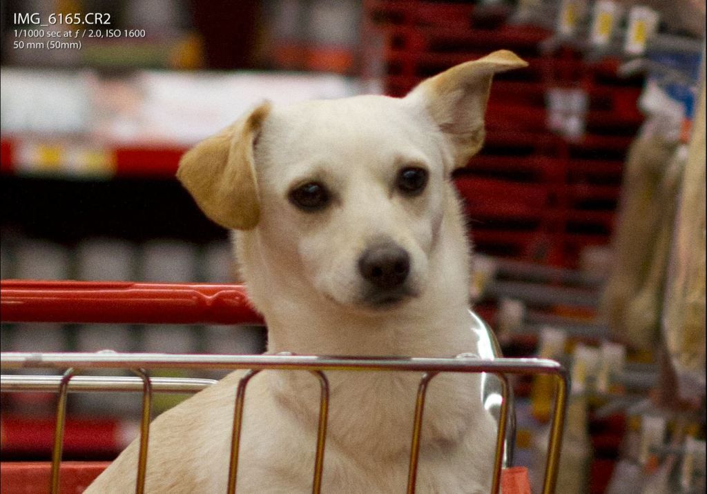 IMAGE: http://img.photobucket.com/albums/v170/scifiguy1012/Photography/Centering1.jpg