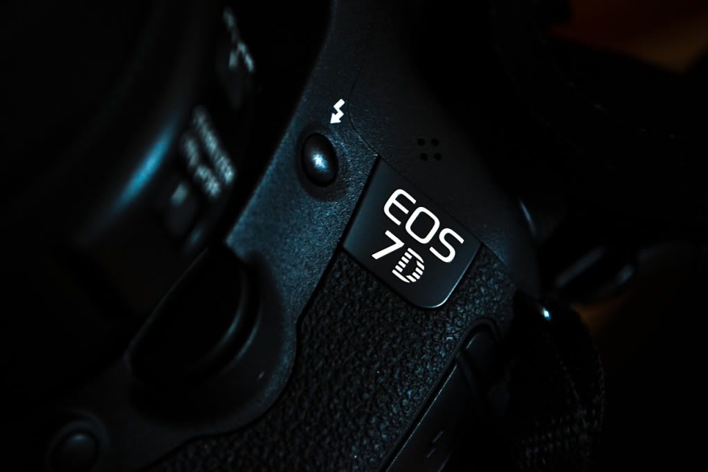 IMAGE: http://img.photobucket.com/albums/v170/scifiguy1012/Photography/DSC_0018.jpg