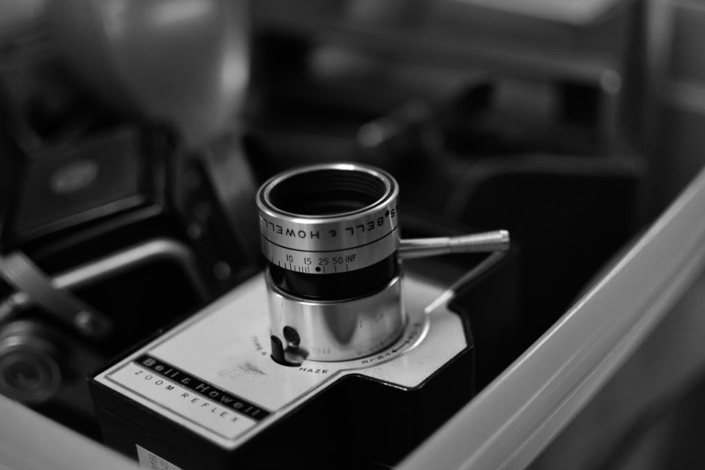 IMAGE: http://img.photobucket.com/albums/v170/scifiguy1012/Photography/DSC_0070.jpg