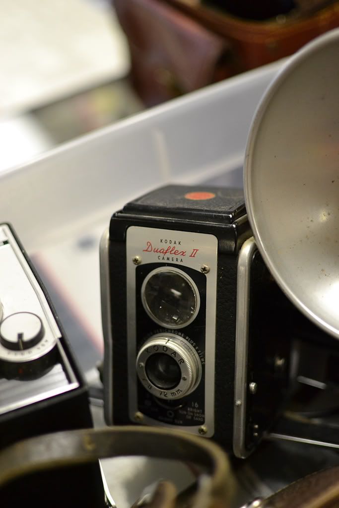 IMAGE: http://img.photobucket.com/albums/v170/scifiguy1012/Photography/DSC_0075.jpg