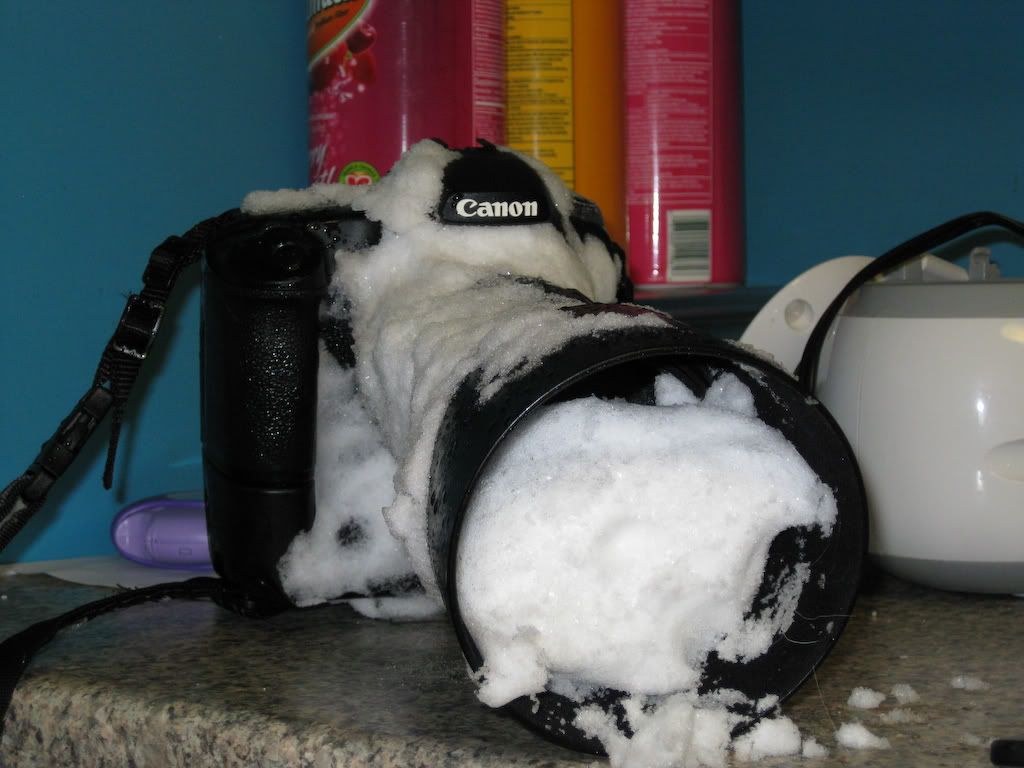 IMAGE: http://img.photobucket.com/albums/v170/scifiguy1012/Photography/IMG_0182.jpg