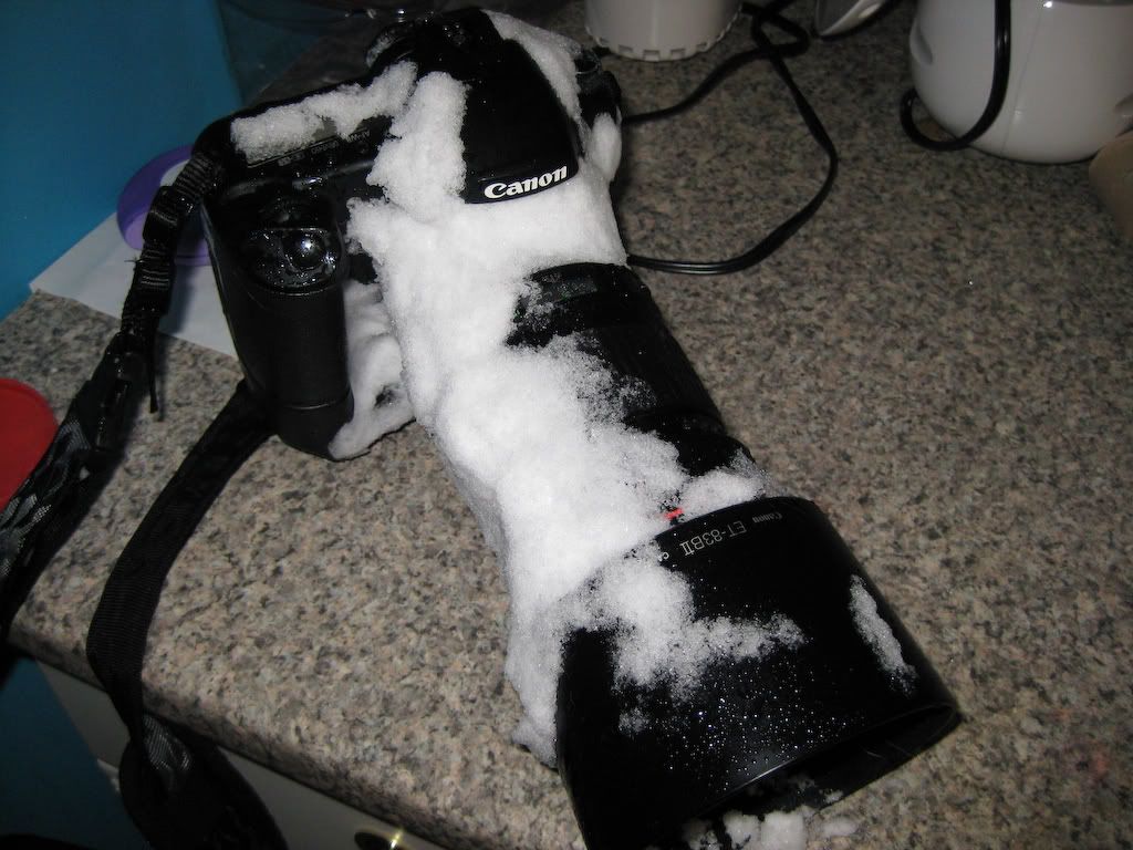 IMAGE: http://img.photobucket.com/albums/v170/scifiguy1012/Photography/IMG_0184.jpg