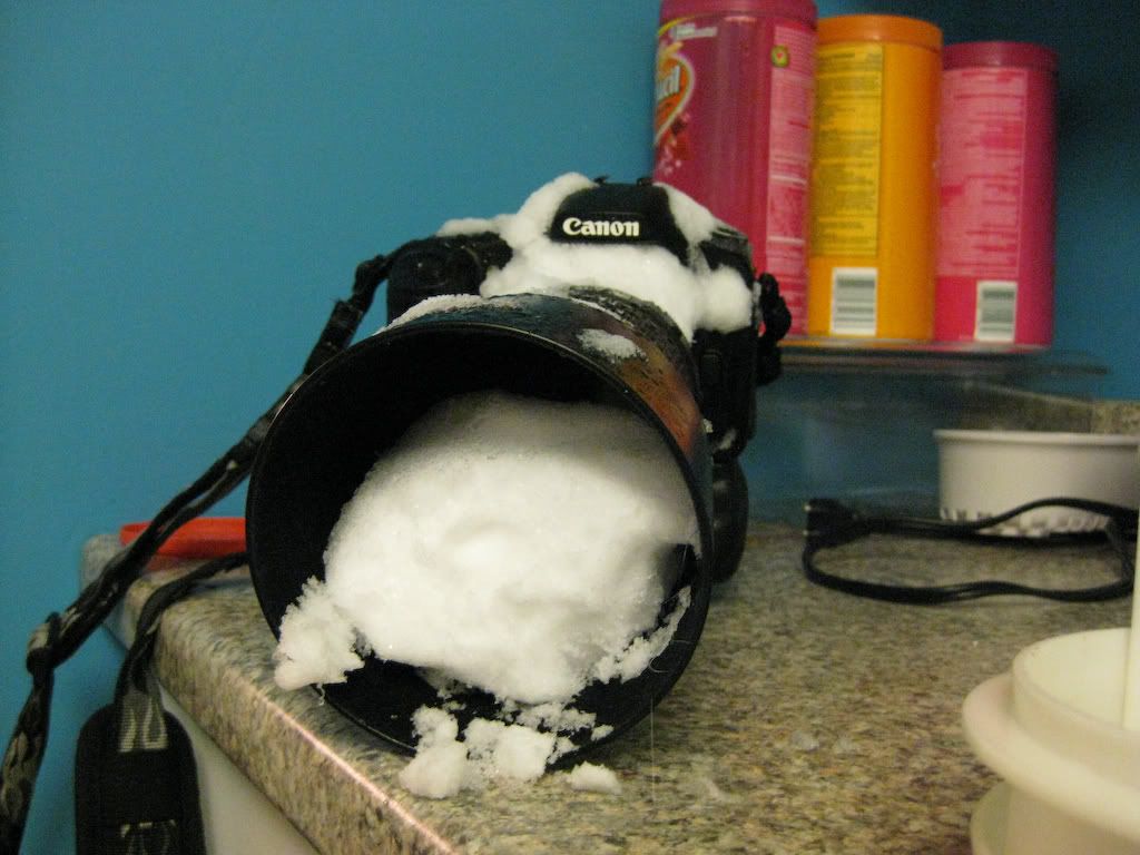 IMAGE: http://img.photobucket.com/albums/v170/scifiguy1012/Photography/IMG_0185.jpg