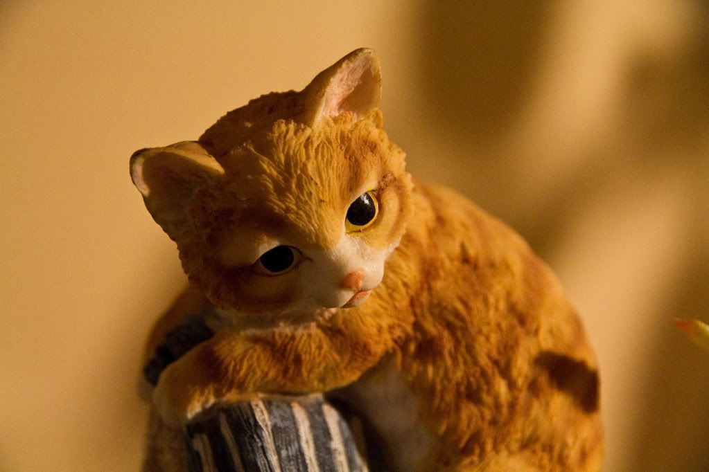 IMAGE: http://img.photobucket.com/albums/v170/scifiguy1012/Photography/IMG_0247-Edit.jpg