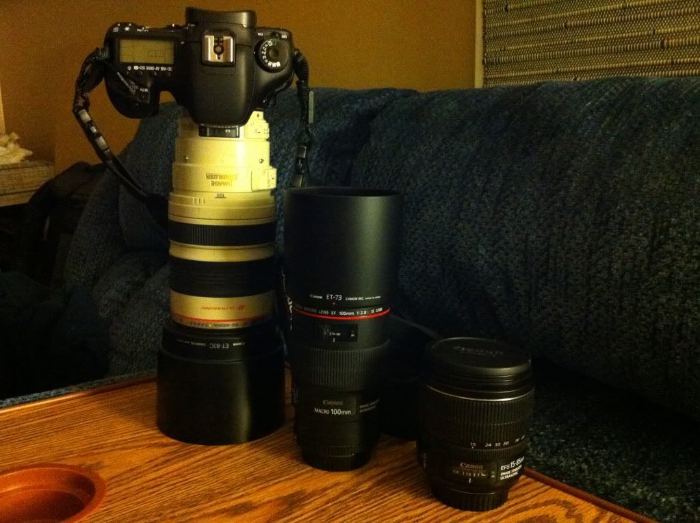 IMAGE: http://img.photobucket.com/albums/v170/scifiguy1012/Photography/IMG_0289.jpg