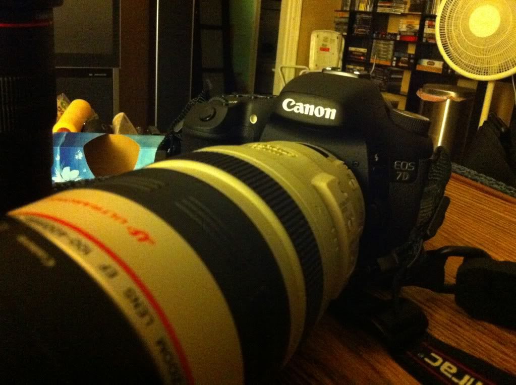 IMAGE: http://img.photobucket.com/albums/v170/scifiguy1012/Photography/IMG_0294.jpg