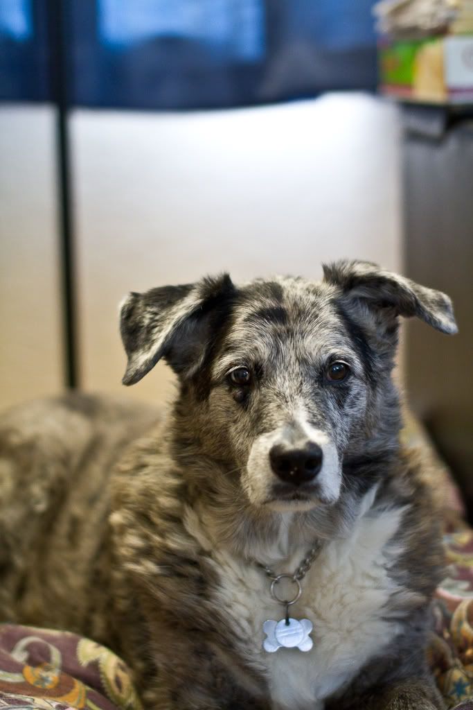 IMAGE: http://img.photobucket.com/albums/v170/scifiguy1012/Photography/IMG_0923.jpg