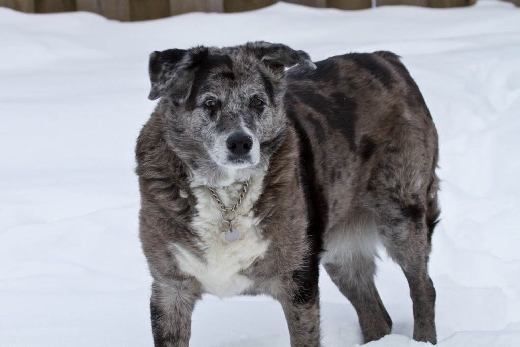 IMAGE: http://img.photobucket.com/albums/v170/scifiguy1012/Photography/IMG_0935-Edit.jpg