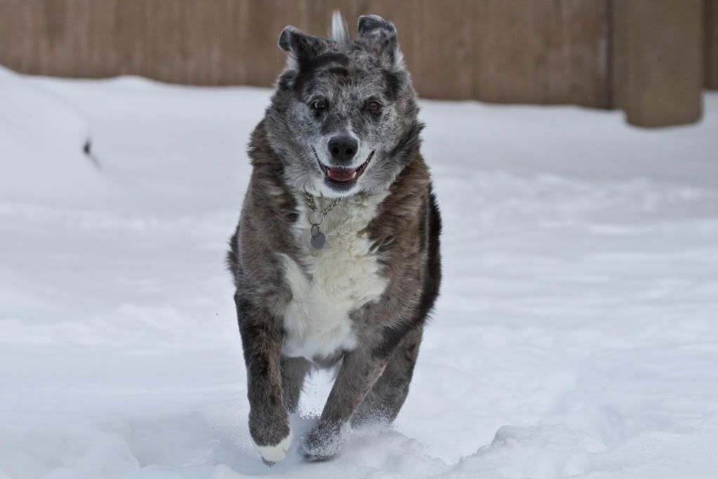 IMAGE: http://img.photobucket.com/albums/v170/scifiguy1012/Photography/IMG_1002-Edit.jpg