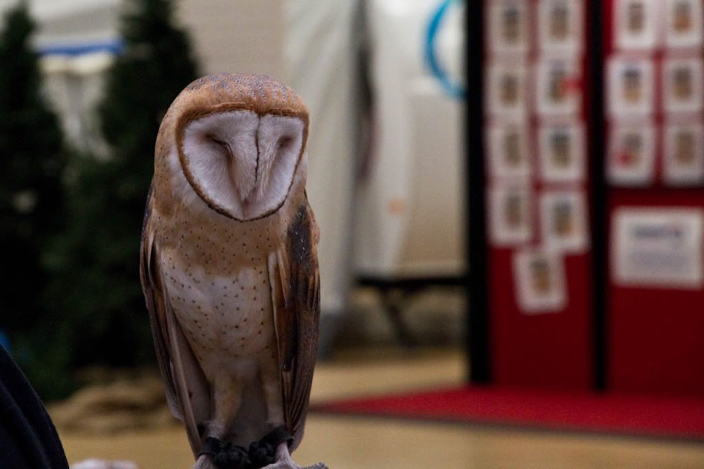 IMAGE: http://img.photobucket.com/albums/v170/scifiguy1012/Photography/IMG_1016-Edit.jpg