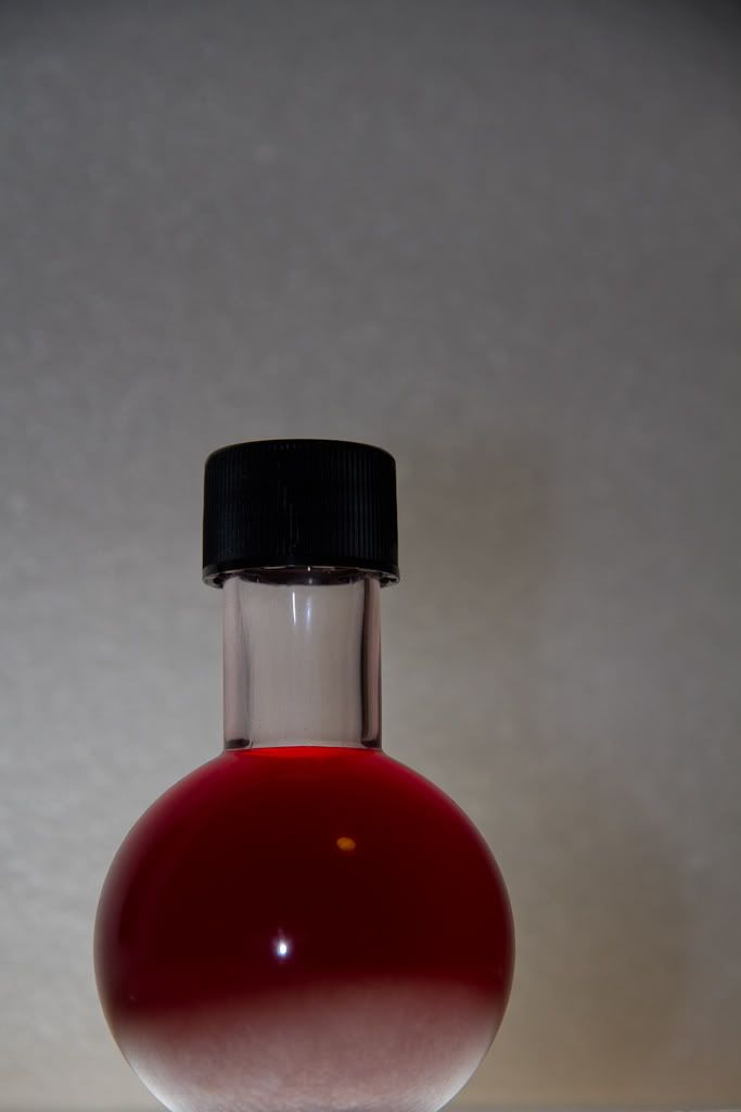 IMAGE: http://img.photobucket.com/albums/v170/scifiguy1012/Photography/IMG_1588.jpg