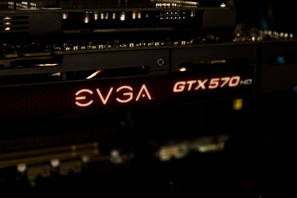 IMAGE: http://img.photobucket.com/albums/v170/scifiguy1012/Photography/IMG_1951.jpg