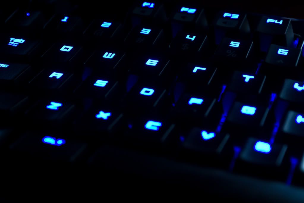 IMAGE: http://img.photobucket.com/albums/v170/scifiguy1012/Photography/IMG_2073.jpg