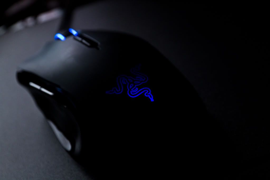 IMAGE: http://img.photobucket.com/albums/v170/scifiguy1012/Photography/IMG_2079.jpg