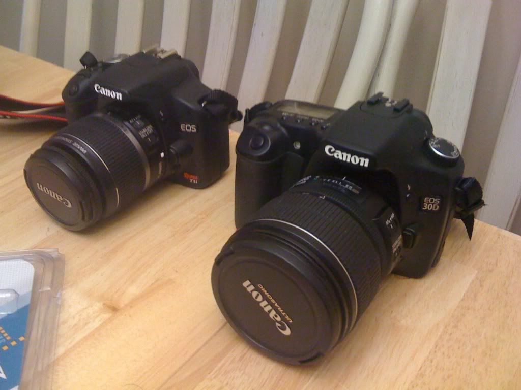 IMAGE: http://img.photobucket.com/albums/v170/scifiguy1012/Photography/IMG_2093.jpg