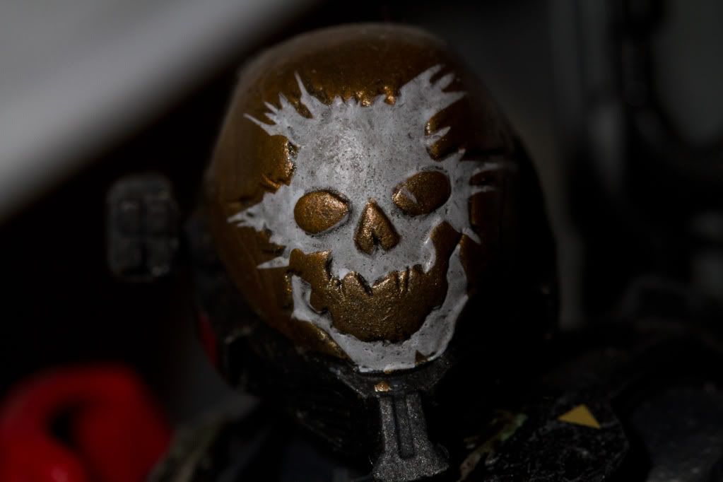 IMAGE: http://img.photobucket.com/albums/v170/scifiguy1012/Photography/IMG_2750.jpg