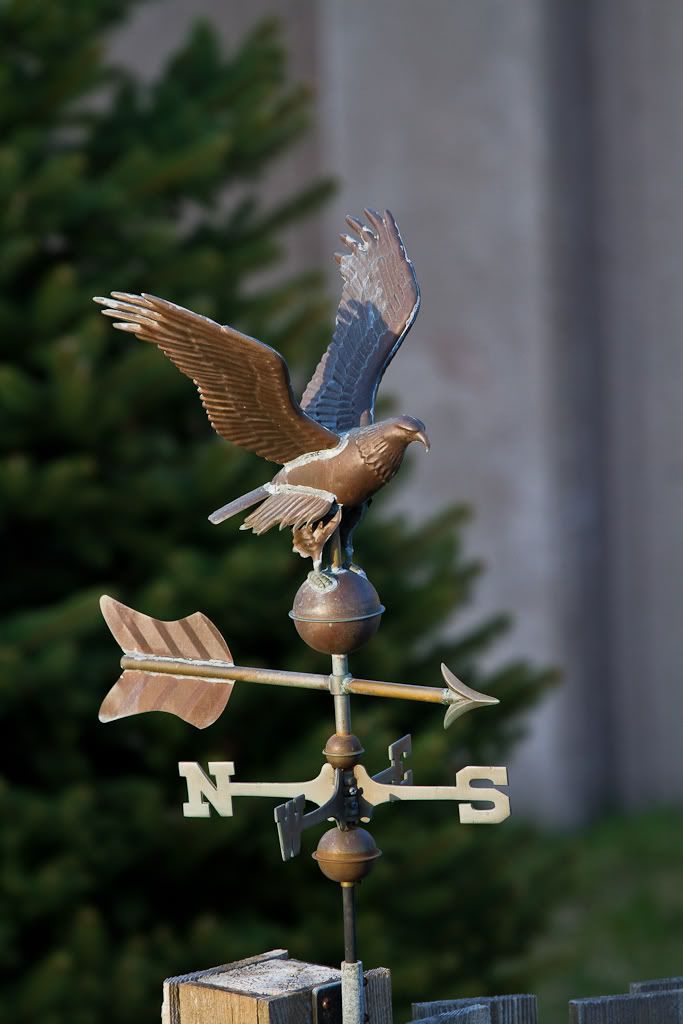 IMAGE: http://img.photobucket.com/albums/v170/scifiguy1012/Photography/IMG_3051.jpg