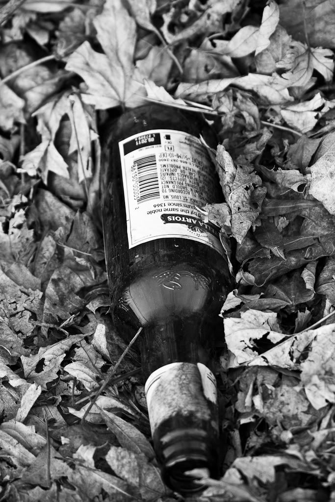 IMAGE: http://img.photobucket.com/albums/v170/scifiguy1012/Photography/IMG_3161.jpg