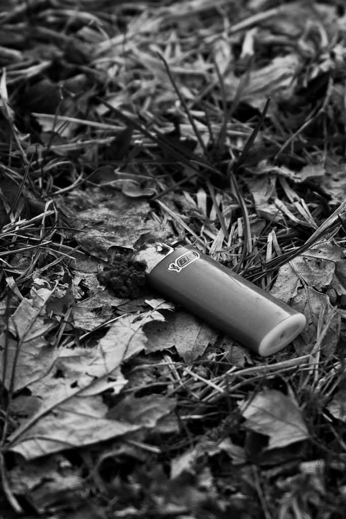 IMAGE: http://img.photobucket.com/albums/v170/scifiguy1012/Photography/IMG_3174.jpg