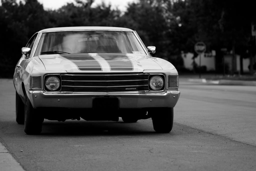 IMAGE: http://img.photobucket.com/albums/v170/scifiguy1012/Photography/IMG_3940-1.jpg