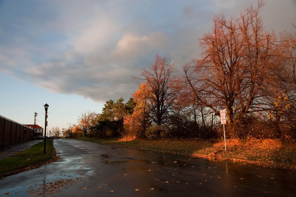 IMAGE: http://img.photobucket.com/albums/v170/scifiguy1012/Photography/IMG_3948-Edit.jpg