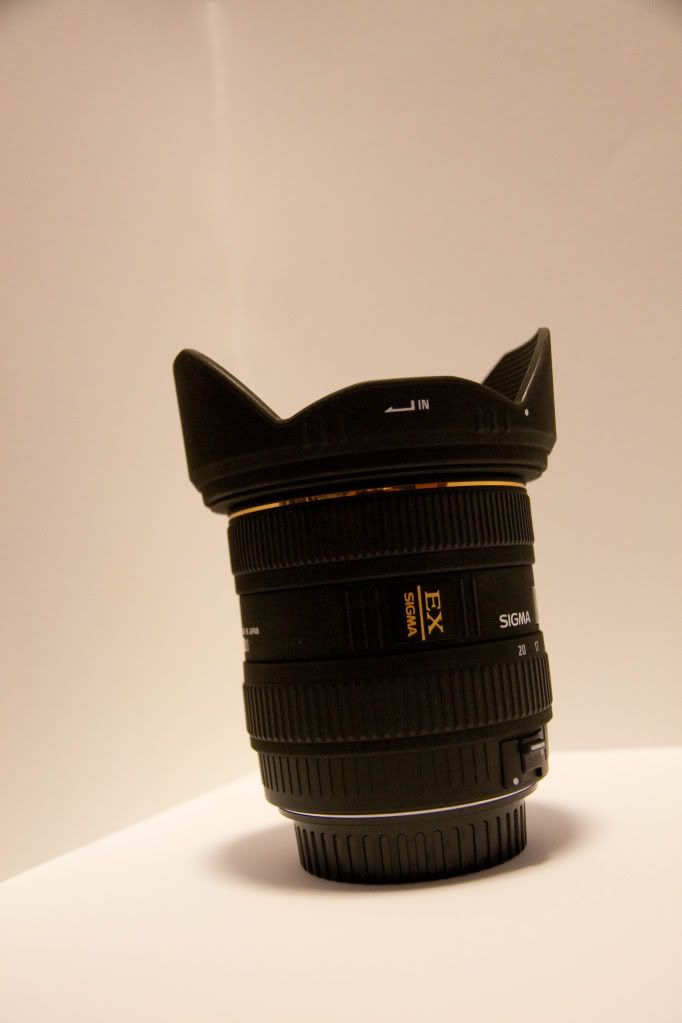 IMAGE: http://img.photobucket.com/albums/v170/scifiguy1012/Photography/IMG_4275.jpg