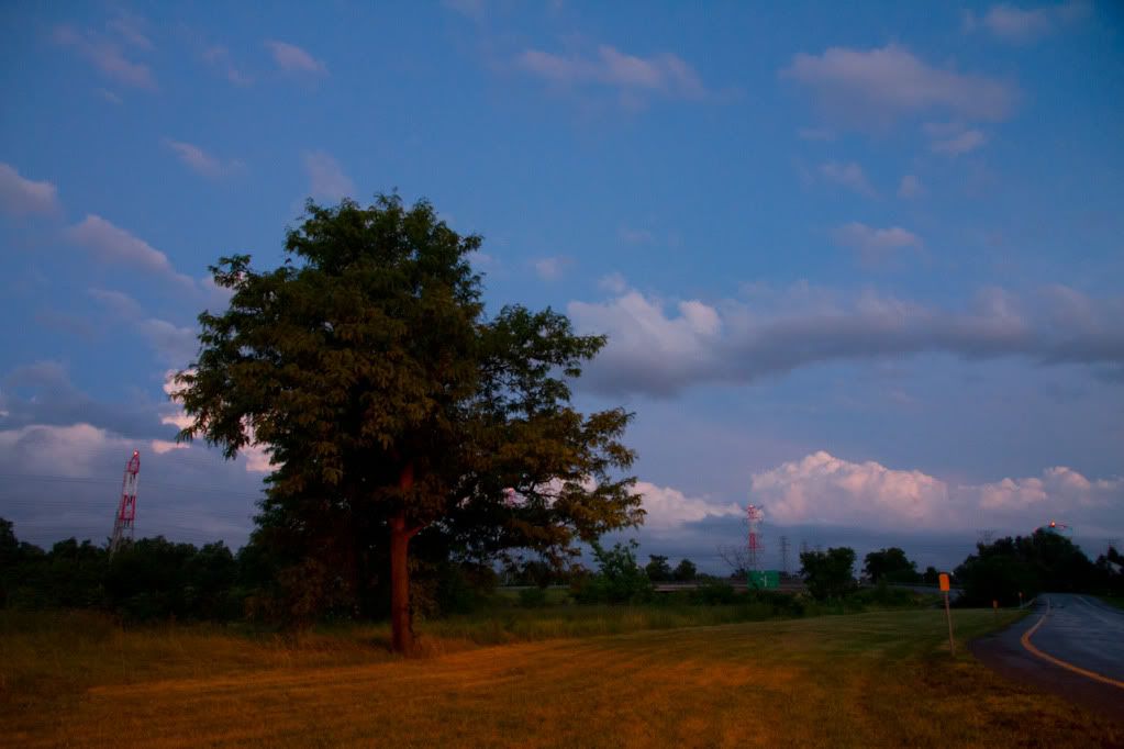 IMAGE: http://img.photobucket.com/albums/v170/scifiguy1012/Photography/IMG_4410.jpg