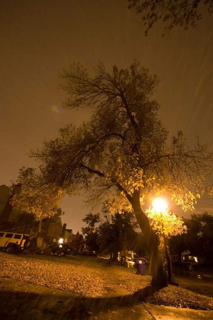 IMAGE: http://img.photobucket.com/albums/v170/scifiguy1012/Photography/IMG_4463.jpg