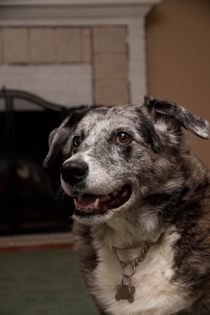 IMAGE: http://img.photobucket.com/albums/v170/scifiguy1012/Photography/IMG_4695-Edit.jpg