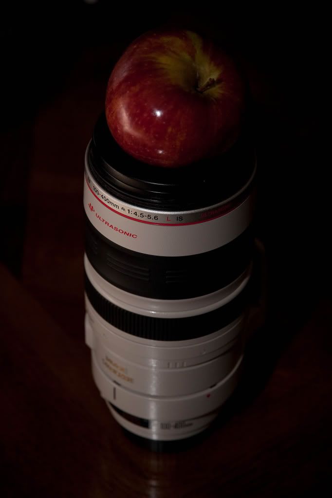 IMAGE: http://img.photobucket.com/albums/v170/scifiguy1012/Photography/IMG_4774-Edit.jpg