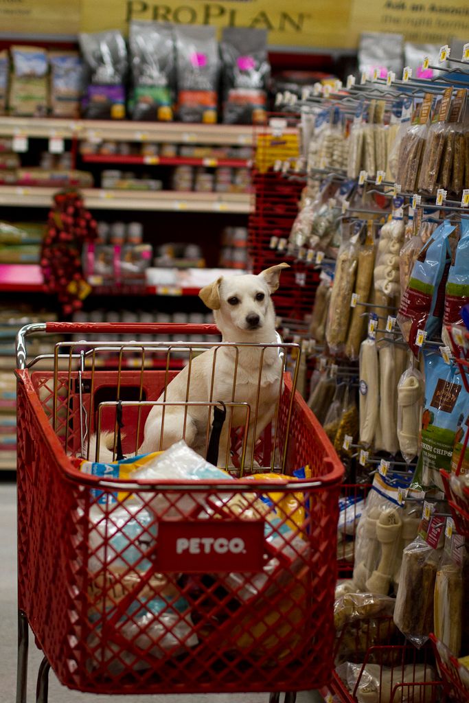 IMAGE: http://img.photobucket.com/albums/v170/scifiguy1012/Photography/IMG_6165.jpg