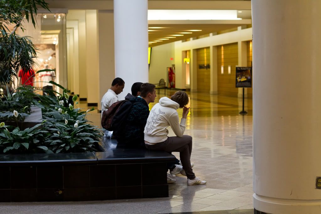 IMAGE: http://img.photobucket.com/albums/v170/scifiguy1012/Photography/IMG_6779.jpg