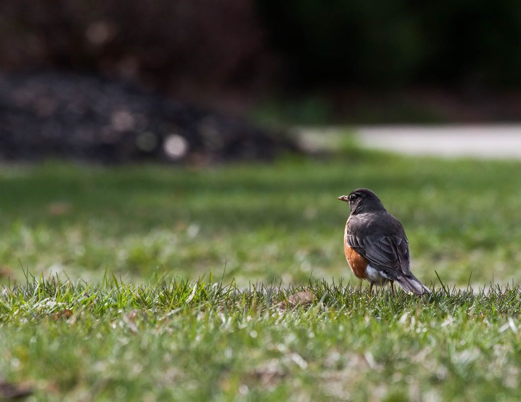 IMAGE: http://img.photobucket.com/albums/v170/scifiguy1012/Photography/IMG_7842-Edit.jpg