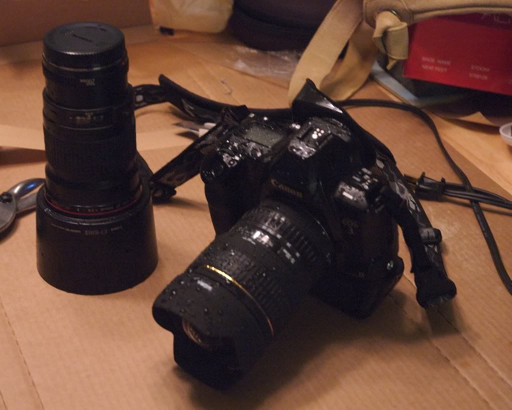 IMAGE: http://img.photobucket.com/albums/v170/scifiguy1012/Photography/eos3306-2.jpg