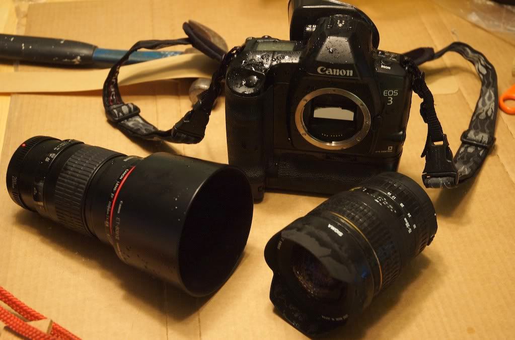 IMAGE: http://img.photobucket.com/albums/v170/scifiguy1012/Photography/eos3307-1.jpg