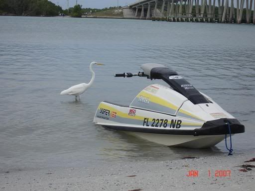 DSC02111s.jpg