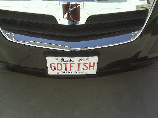 Gotfish.jpg