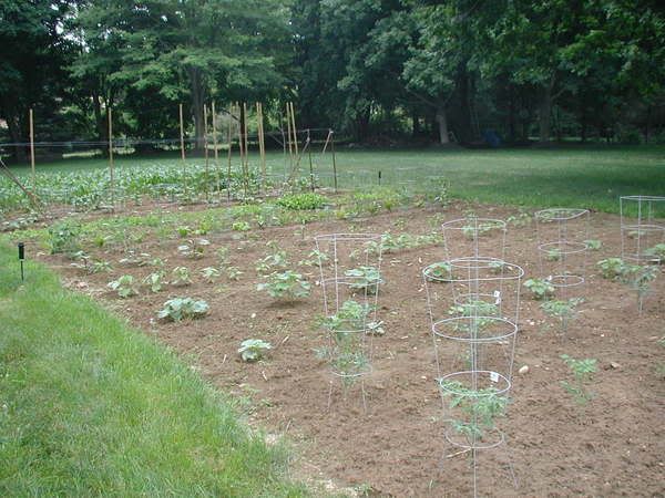 garden02.jpg