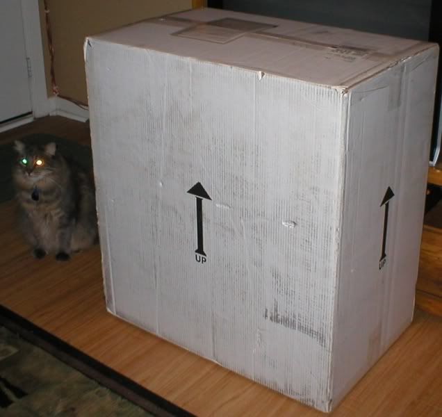Box2_Cat_Crop.jpg