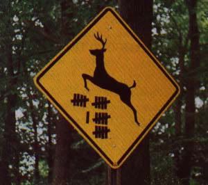 Deer_Sign.jpg