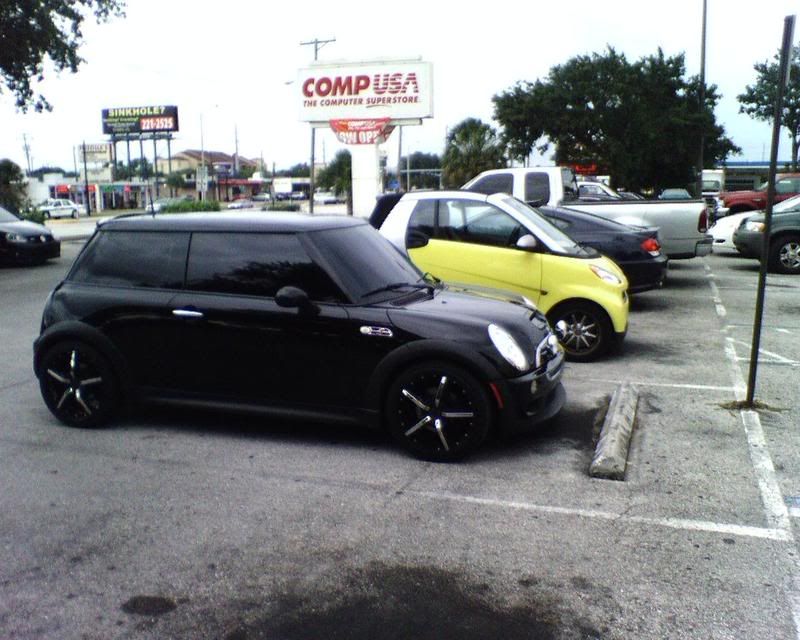Black out window trims? North American Motoring