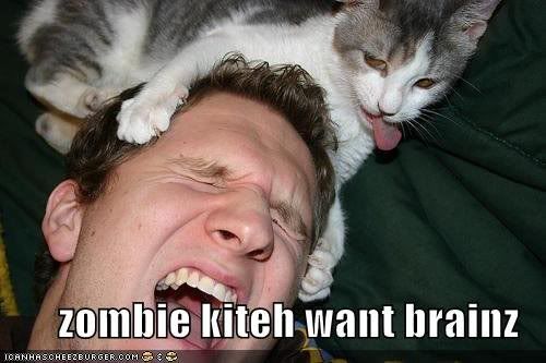 http://img.photobucket.com/albums/v171/twincamz1320/zombiecat.jpg