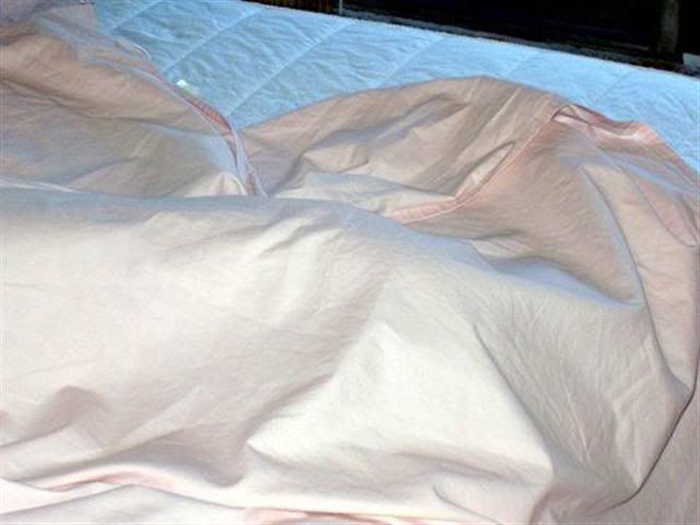 http://img.photobucket.com/albums/v172/MistiErin/Paddyundersheets6Small.jpg