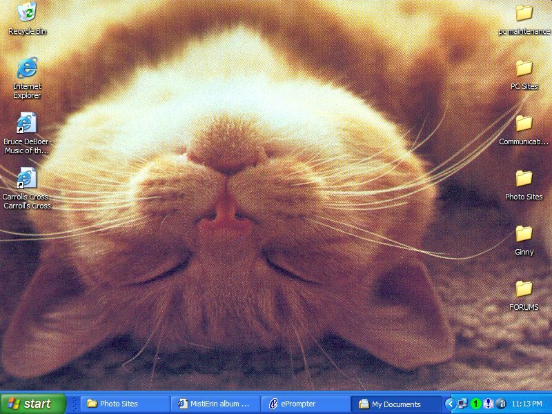 http://img.photobucket.com/albums/v172/MistiErin/screensaverkitty.jpg