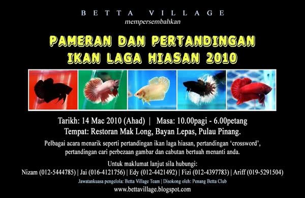 dan Pertandingan Ikan Laga