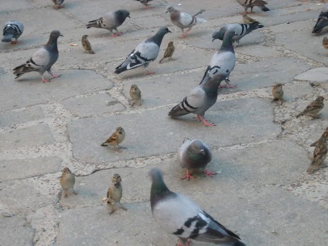 Photobucket - Video and Image Hosting