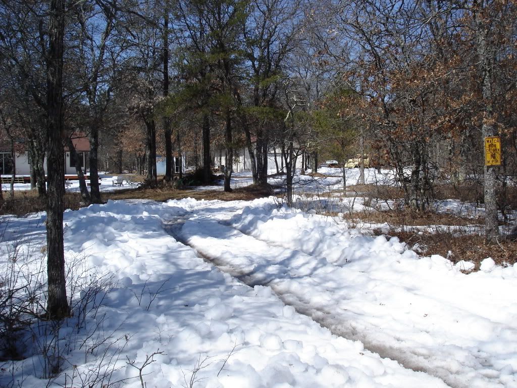 spring2008.jpg