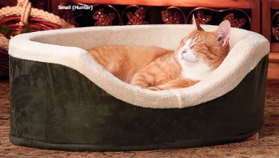 cat bed